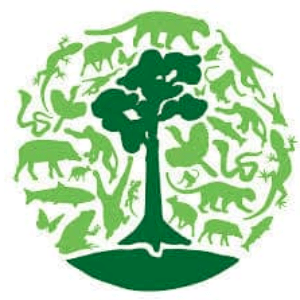 https://savetheorangutan.org/app/uploads/sites/2/2019/04/Borneo-nature-simple-300x300.png