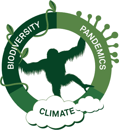 Climate, biodiversity and pandemics